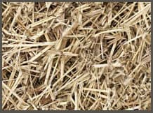 Alfalfa Straw